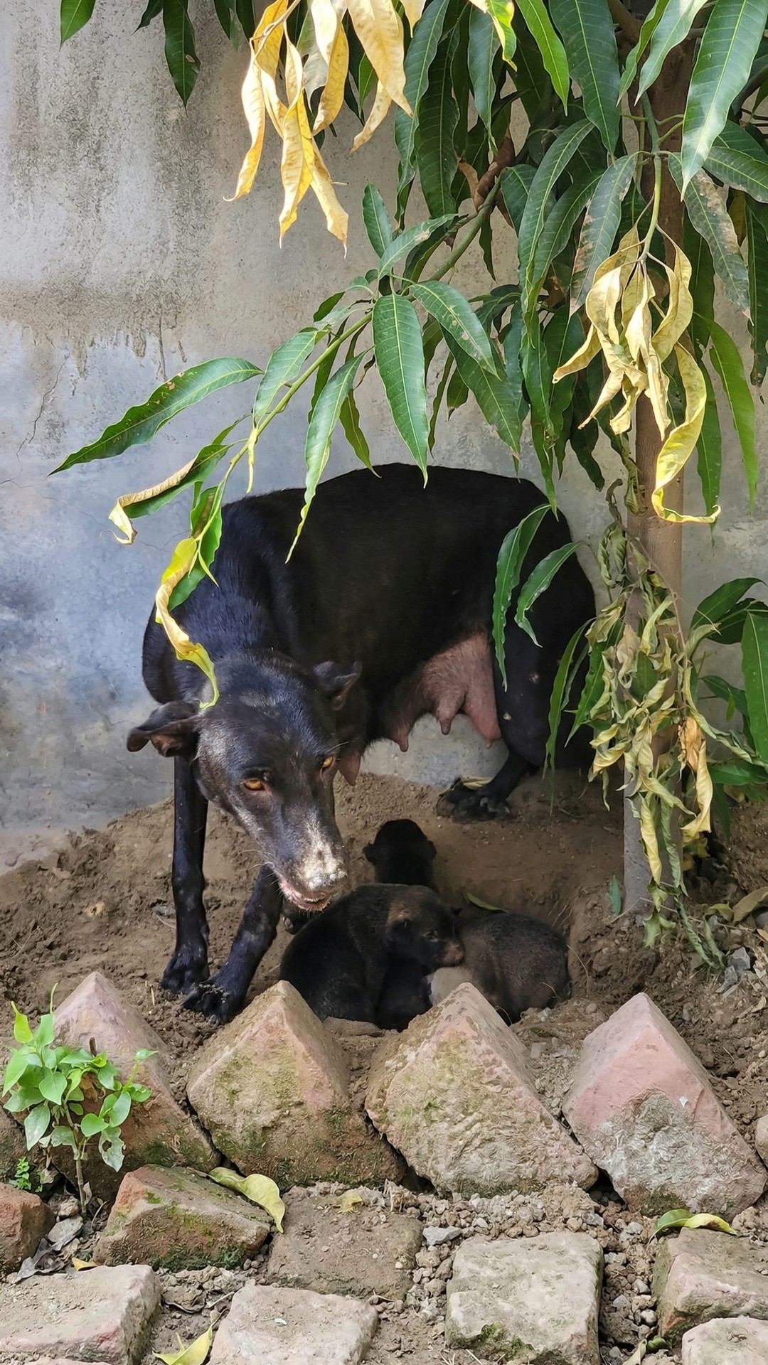 93