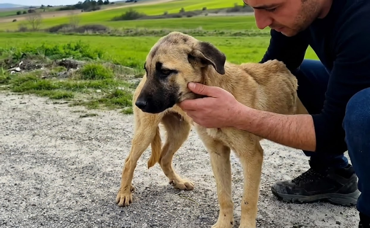 After a Cruel Fire Left Him Helpless, One Rescuer Became His Way Back