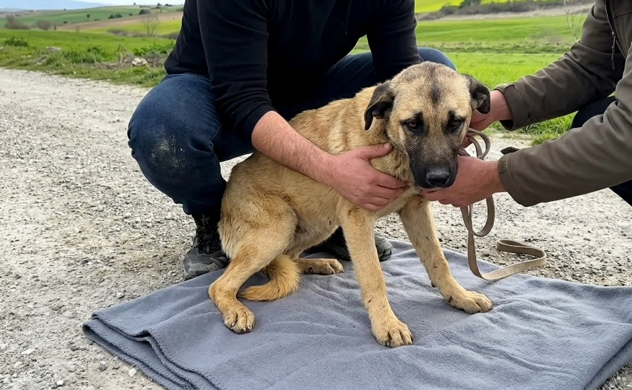 After a Cruel Fire Left Him Helpless, One Rescuer Became His Way Back