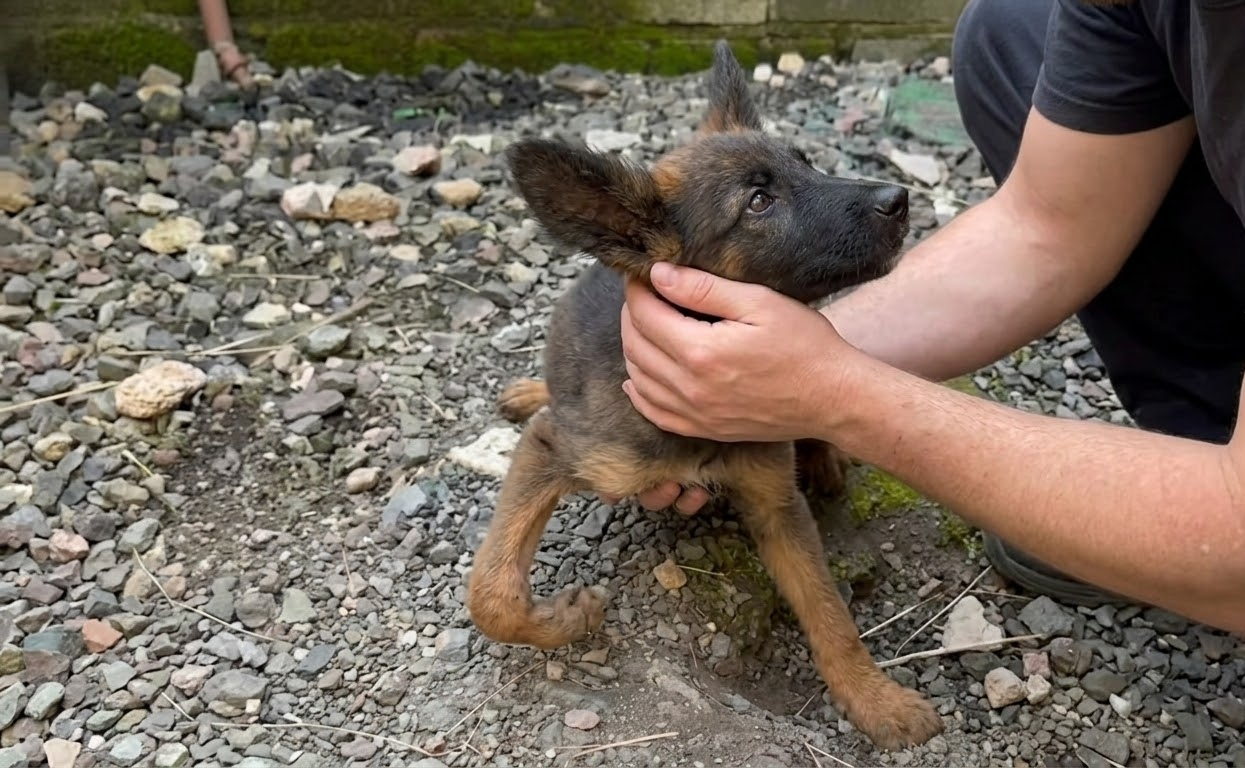 Nucita Couldn’t Stand on Her Own, but Her Recovery Was Only Beginning