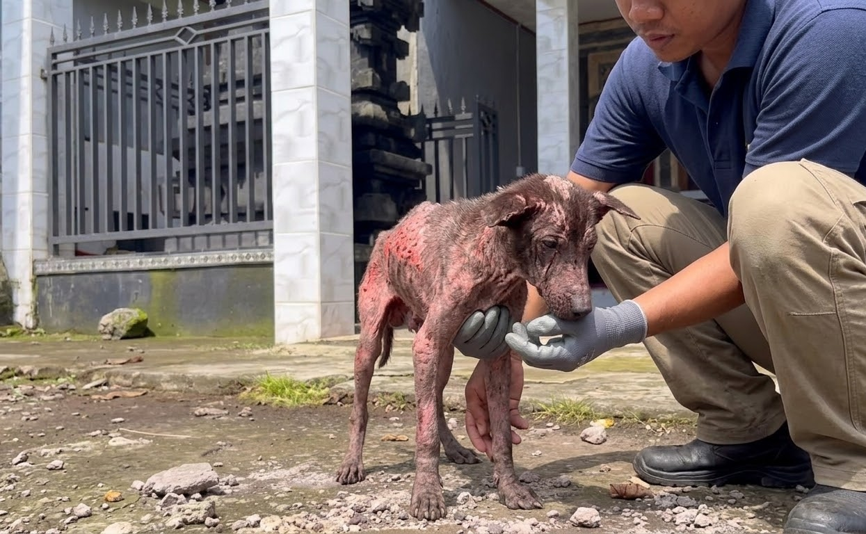 Kibo Had Become Invisible at the Market—Until Someone Decided He Deserved More
