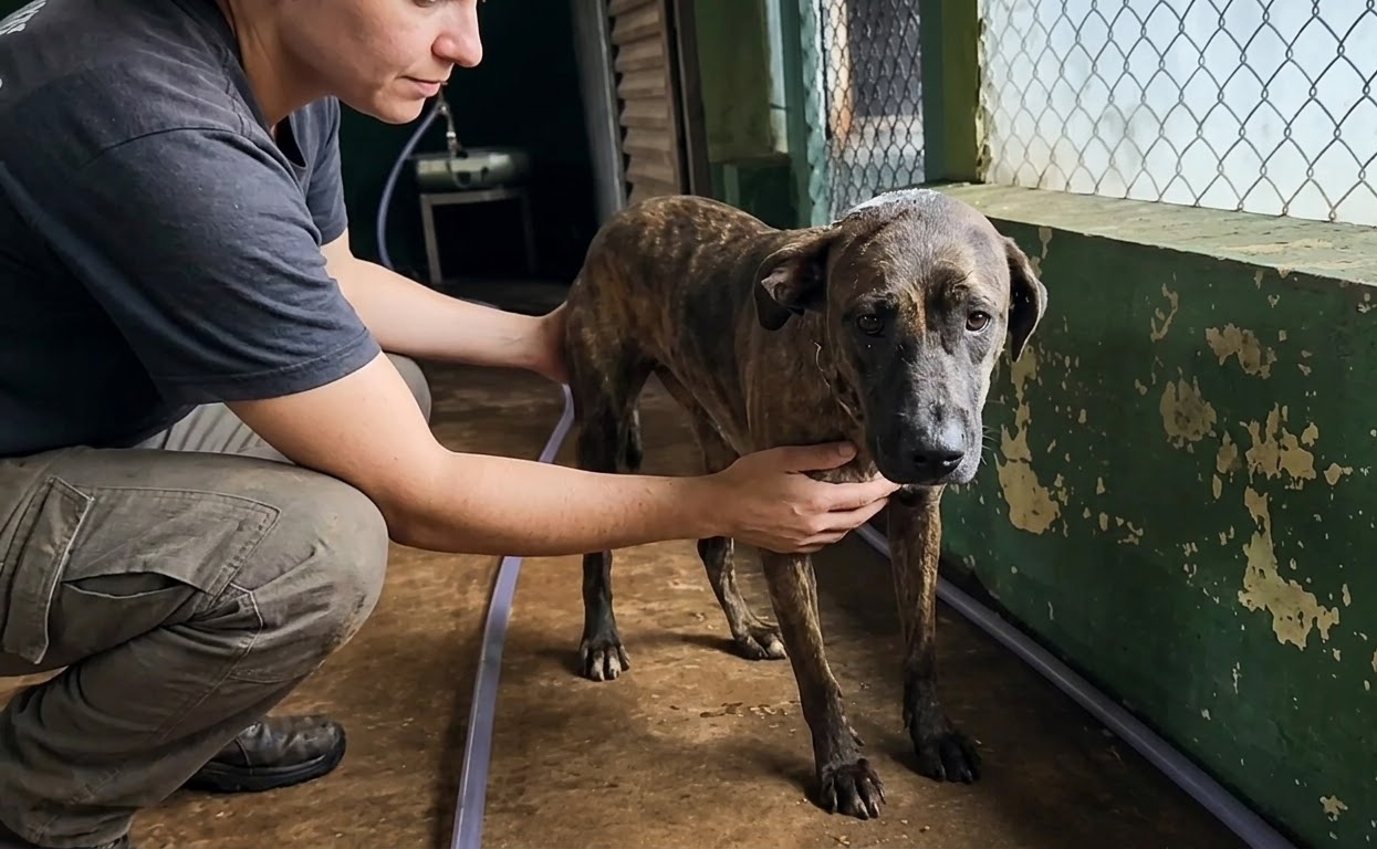 Kira Was Fighting for Every Breath, and Her Caregivers Chose to Give Her More Time