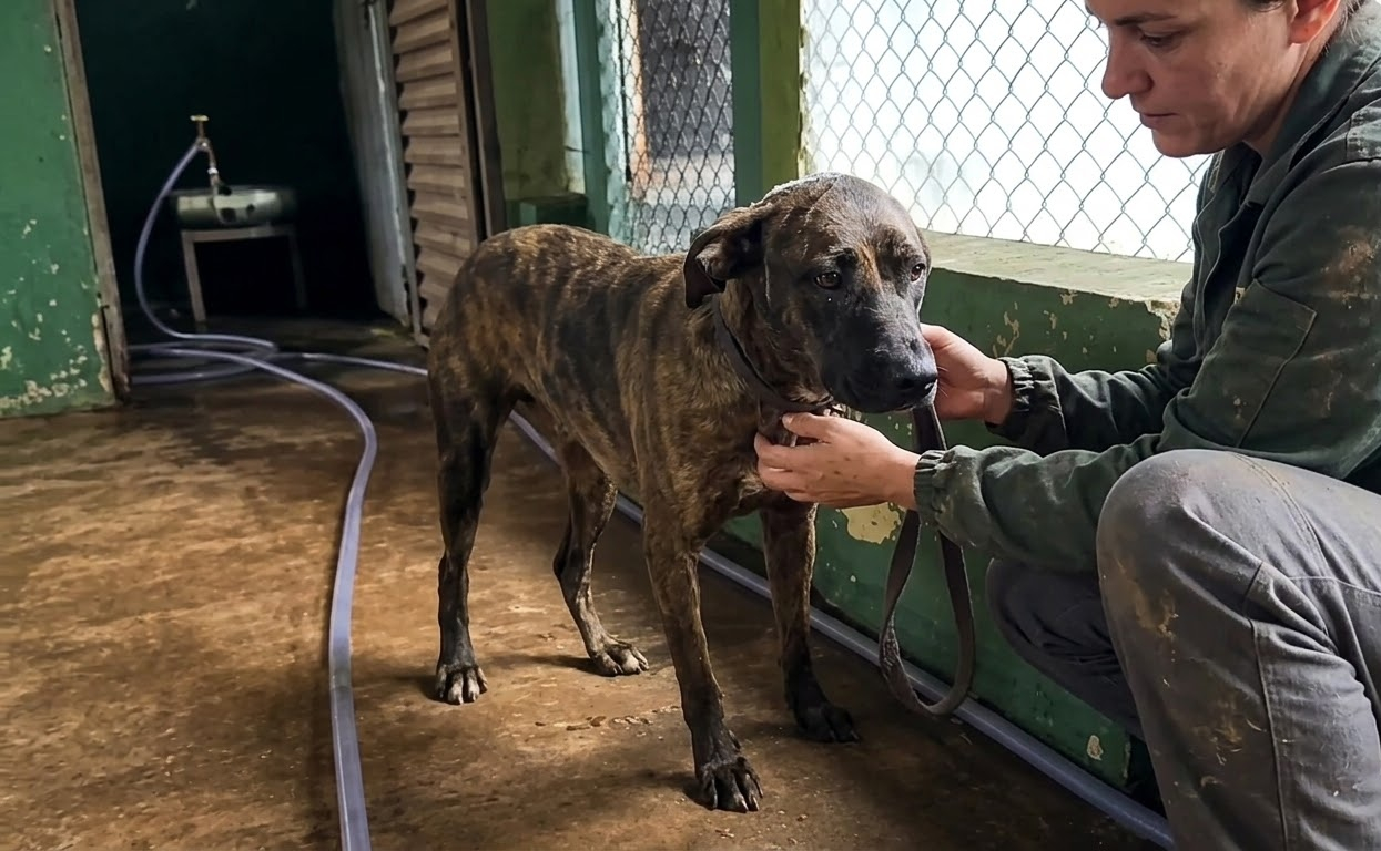 Kira Was Fighting for Every Breath, and Her Caregivers Chose to Give Her More Time