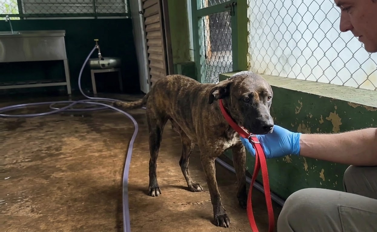 Kira Was Fighting for Every Breath, and Her Caregivers Chose to Give Her More Time