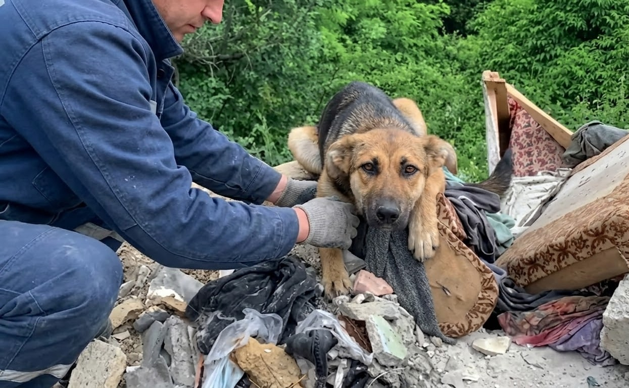 Nera Hid Among the Trash Until One Patient Rescuer Gave Her a Reason to Trust