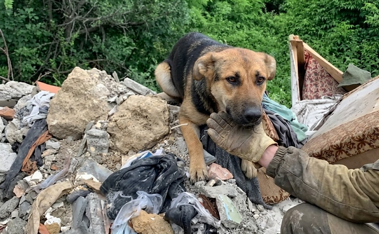 Nera Hid Among the Trash Until One Patient Rescuer Gave Her a Reason to Trust