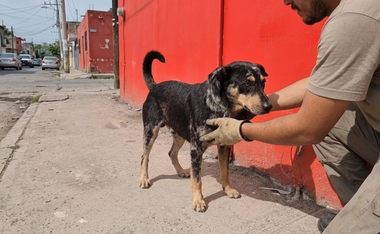 Valiente Could Barely Keep His Balance Until Patient Care Put Him Back on His Feet