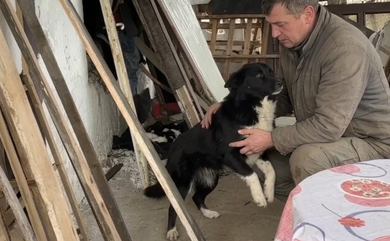 A Roadside Rescue Revealed This Mother Dog Wasn’t the Only One Who Needed Help