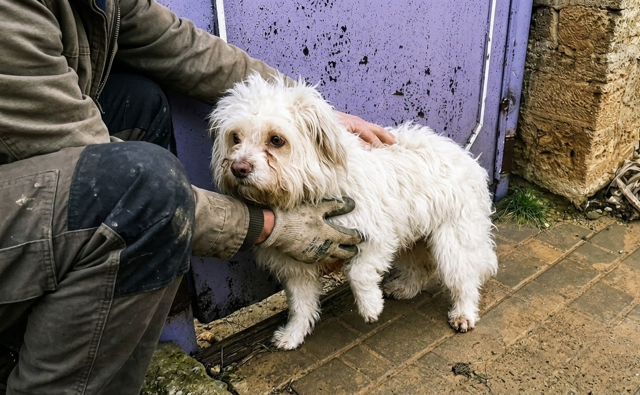 Lyosha Kept Returning to One Door Until a Rescue Team Changed His Future