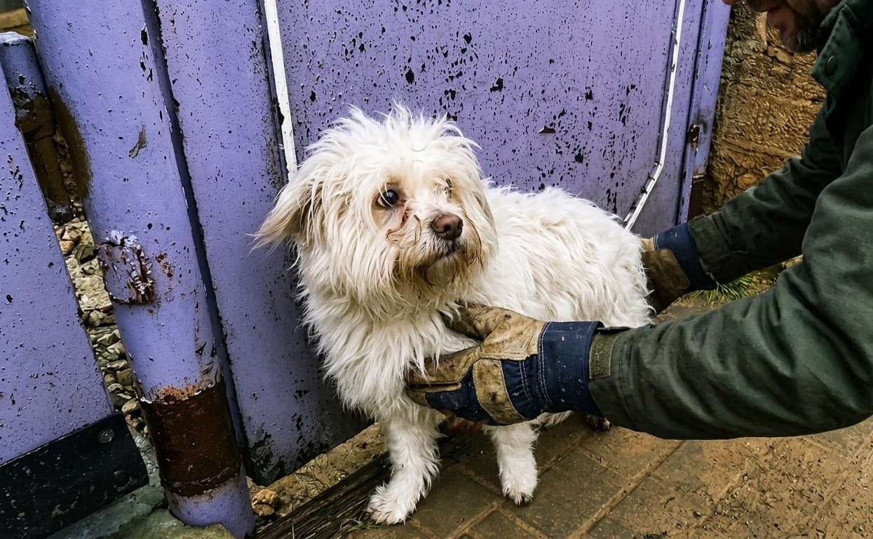 Lyosha Kept Returning to One Door Until a Rescue Team Changed His Future