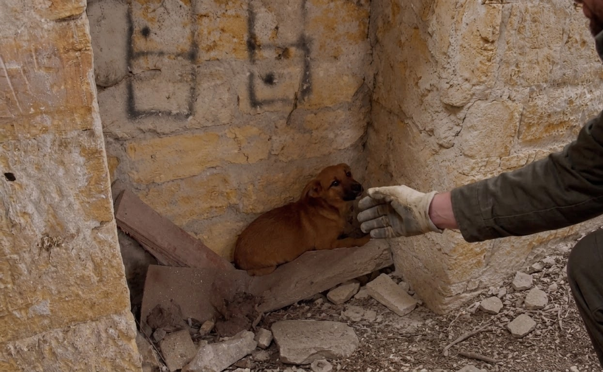 Masha Learned to Trust Again After Being Found Alone in an Abandoned Basement
