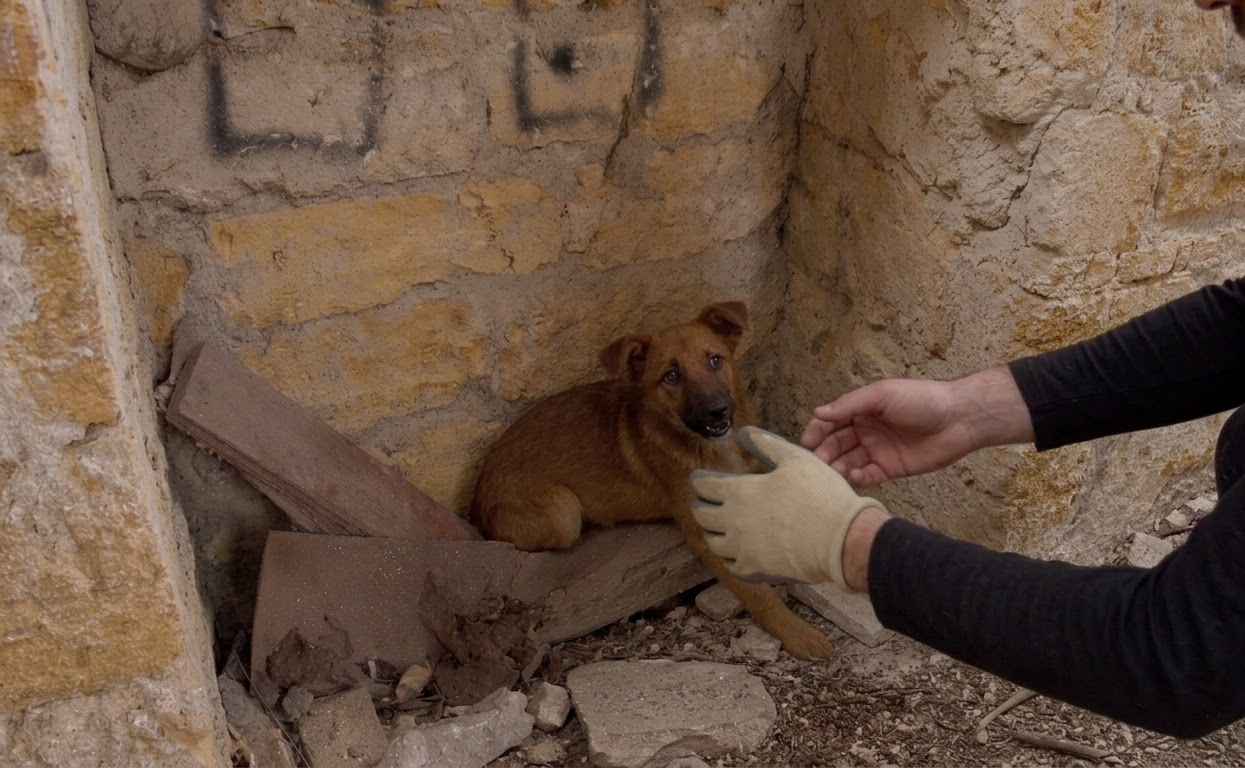 Masha Learned to Trust Again After Being Found Alone in an Abandoned Basement