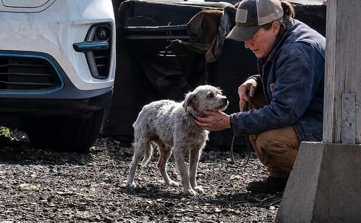 Beneath the Soot, a Starving Dog Was Waiting for Someone to See Her