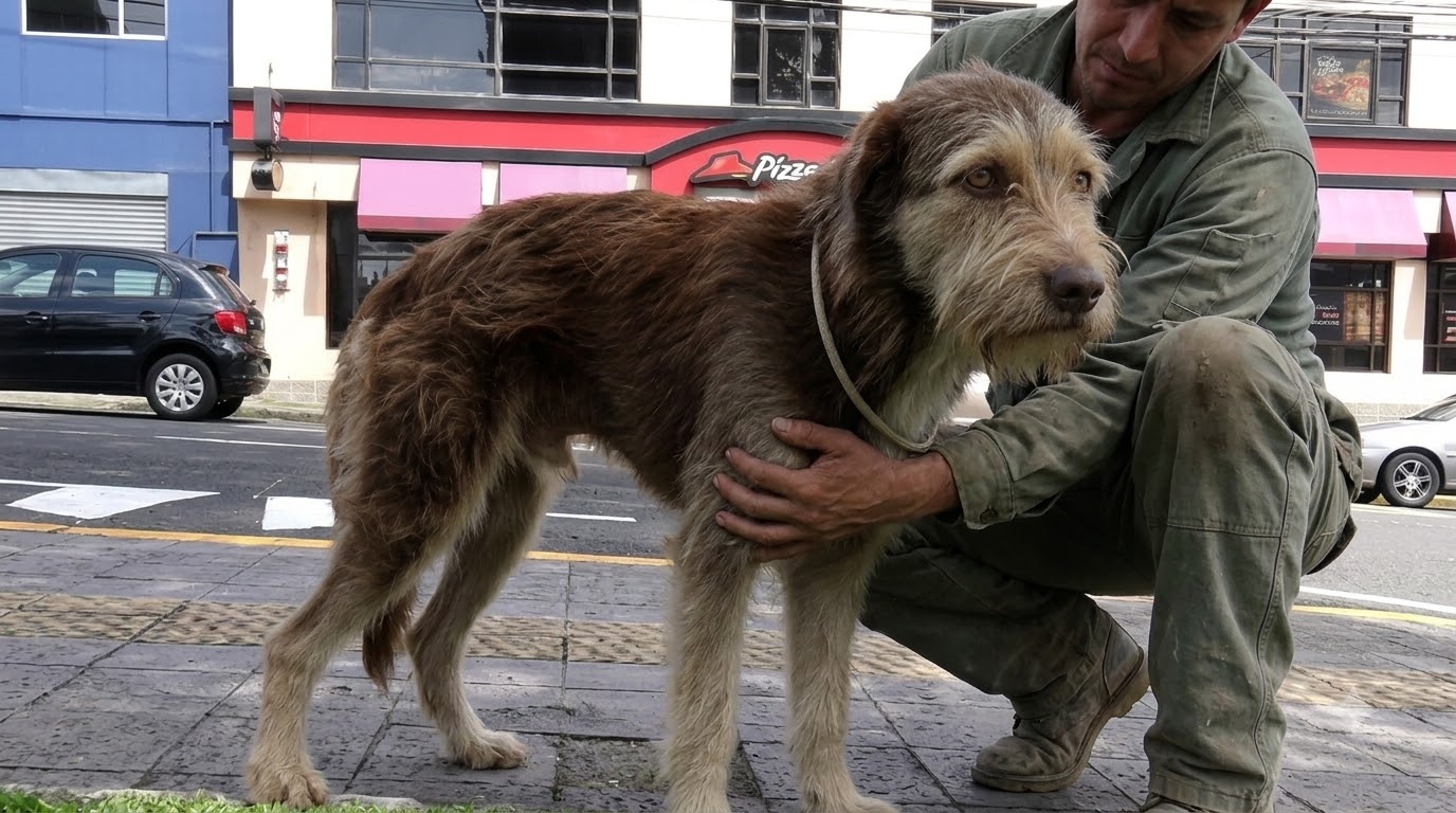 From Hiding Places to Warm Beds: What It Takes to Bring a Rescued Animal Home